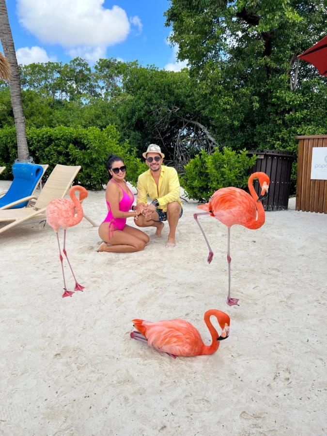 Punta Cana Bavaro Suites Pool Beach Ducassi-Sol Caribe Exterior photo